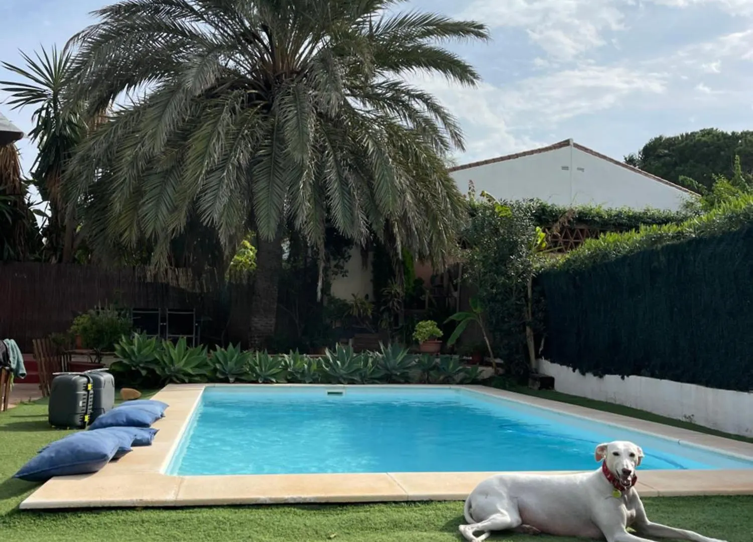 Chalet En La Playa Con Piscina ماربيا